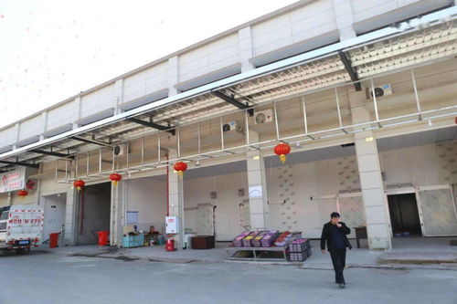 華南農(nóng)產(chǎn)品批發(fā)市場春節(jié)銷售創(chuàng)佳績，金屬及金屬礦批發(fā)業(yè)務(wù)亮點頻現(xiàn)