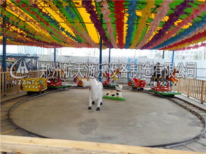 航天游樂(lè)設(shè)備廠(chǎng)家特供歡樂(lè)跑馬 公園觀(guān)光服務(wù)的全新體驗(yàn)